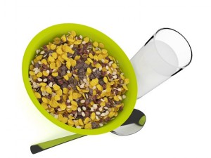musli in bowl 3D Model