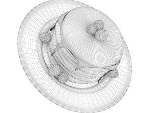 frittelle con sciroppo Modello 3D