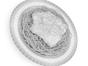 spaghetti napoli 3D Model