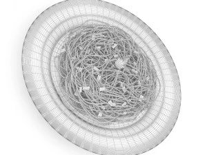 spaghetti carbonara 3D Model