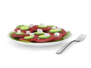 토마토 샐러드 3D 모델