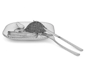 스테이크와 밥 3D 모델