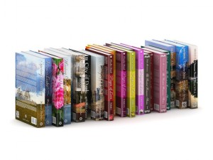 novel books 1 3D मॉडल