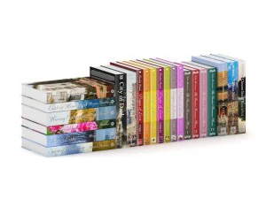 novel books 1 3D Model