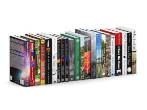 novel books 2 Modèle 3D