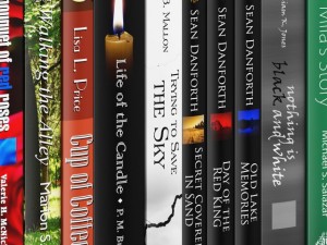 novel books 2 3D Модель
