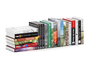 novel books 2 3D Модель