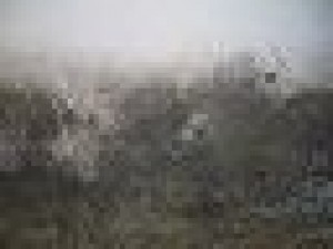 17 old walls hihes textures pack Texturas CG