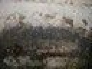 17 old walls hihes textures pack Texturas CG