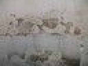 17 old walls hihes textures pack Texturas CG