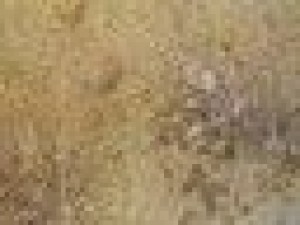 17 old walls hihes textures pack Texturas CG