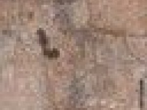 17 old walls hihes textures pack Texturas CG