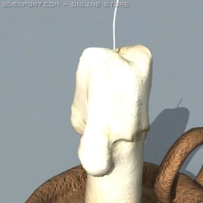 candle 3D Model .c4d .max .obj .3ds .fbx .stl .blend