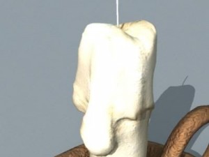 candle 3D Модель