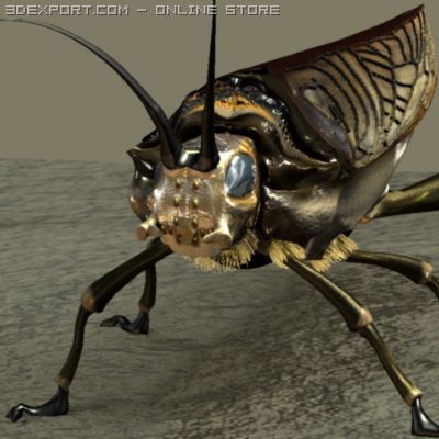 insect 3D मॉडल .c4d .max .obj .3ds .fbx .stl .blend 