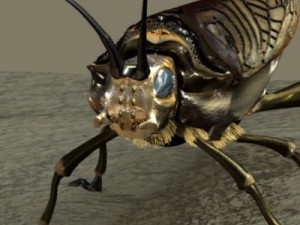 insect 3D Модель
