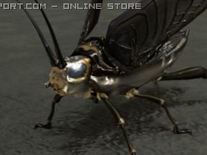 insect 3D मॉडल