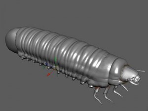 scarab larva 3D Model