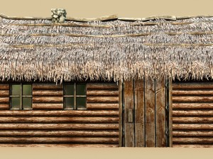 wooden thatch house 3D 模型