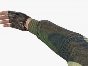 fps hand 3D-Modell