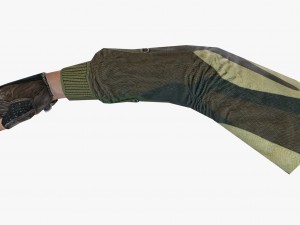 fps hand 3D-Modell
