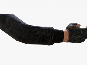 fps hand 3D-Modell