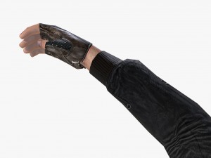 fps hand 3D-Modell