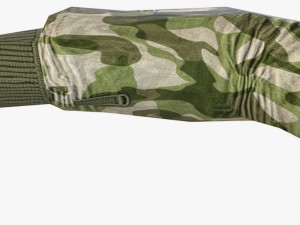 fps hand 3D-Modell