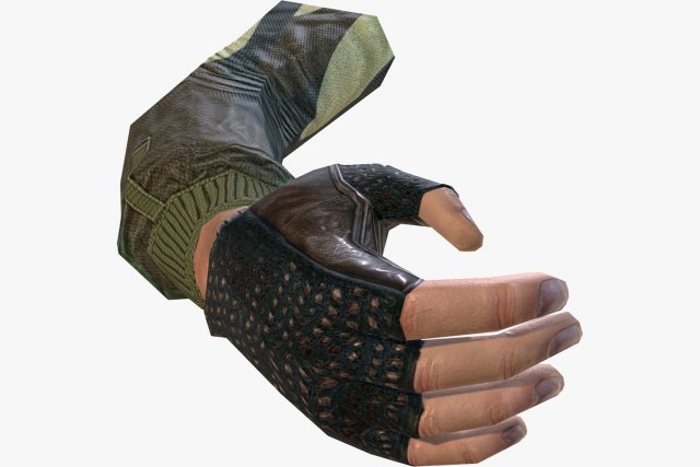 fps hand 3D-Modell .c4d .max .obj .3ds .fbx .stl .blend 