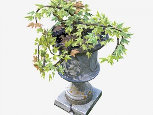 flower pot 3D 模型