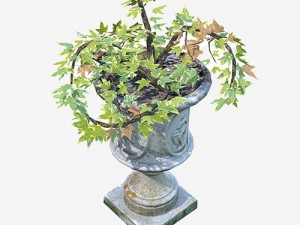flower pot 3D 模型