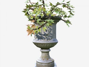 flower pot 3D 模型
