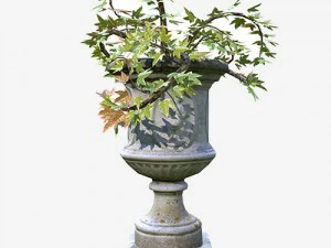 flower pot 3D Model