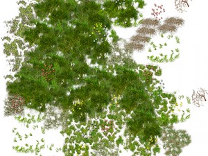 2d jungle coast tile set and decals 3D मॉडल