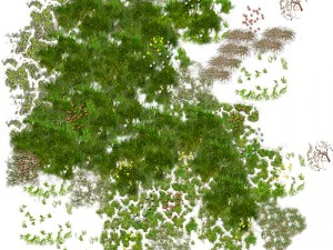 2d jungle coast tile set and decals 3D Model