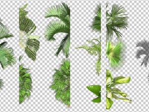 2d desert jungle construction set 3D Model