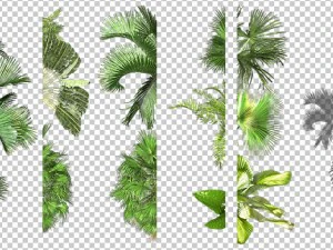 2d desert jungle construction set 3D Model