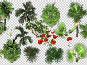 2d desert jungle construction set 3D Model