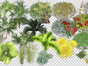 2d desert jungle construction set 3D Model