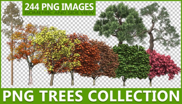 png trees collection CG टेक्स्चर्स .c4d .max .obj .3ds .fbx .stl .blend 