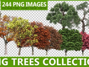 png trees collection CG Textures