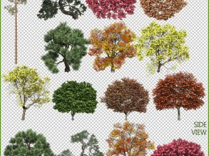 colecci&oacute;n de &aacute;rboles png Texturas CG