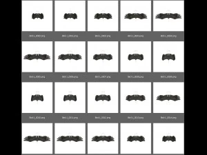 無料のアニメーション鳥 3Dモデル