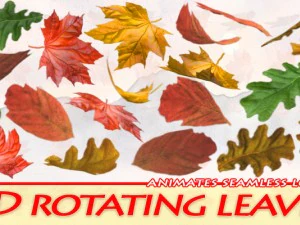 2d bladeren 3D Model