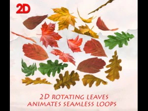 2d leaves 3D Model