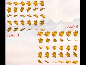 2d leaves 3D Model