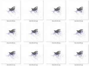 shark 3D Модель