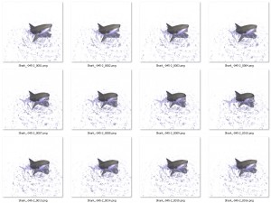 shark 3D Модель