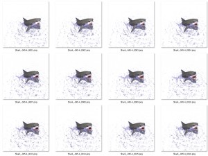 shark 3D Модель