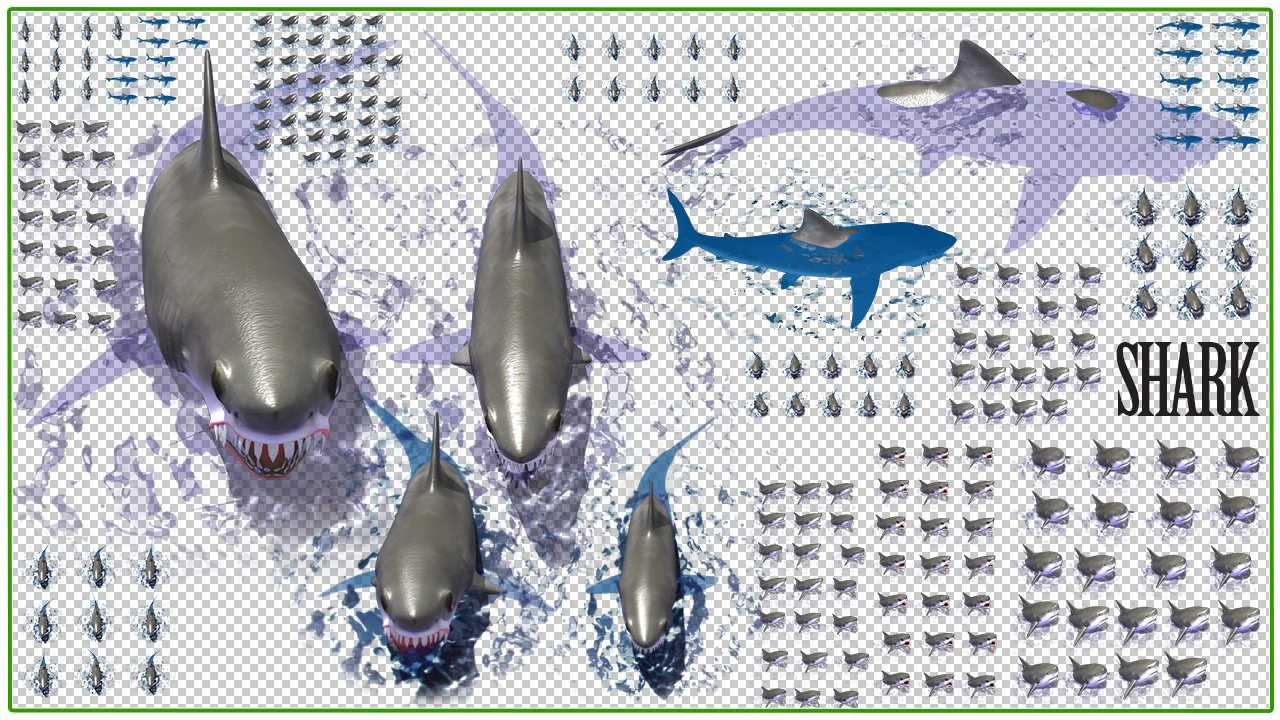 shark 3D Model .c4d .max .obj .3ds .fbx .stl .blend